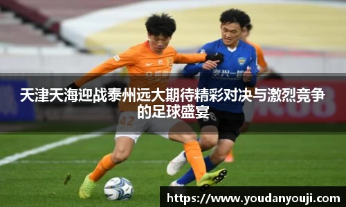 天津天海迎战泰州远大期待精彩对决与激烈竞争的足球盛宴